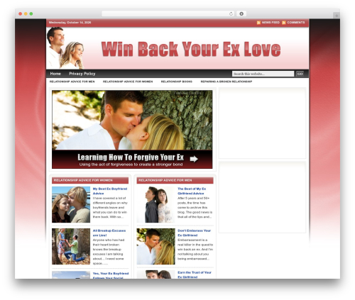 Sexybookmarks WordPress plugin - winbackyourexlove.com