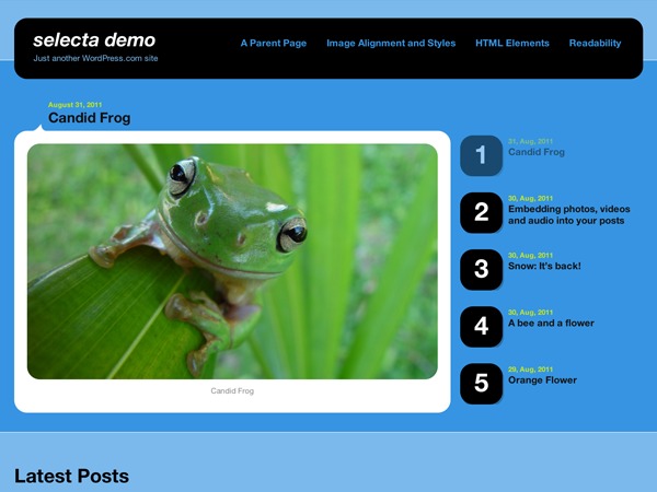 Selecta – WordPress.com best WordPress gallery by Obox Design