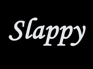 Slappy photography WordPress theme by gbthemes