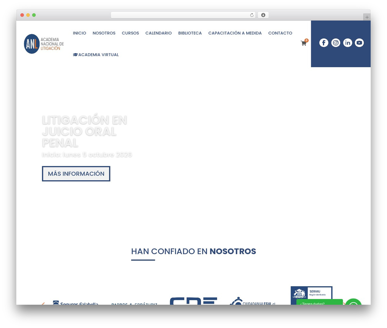 WordPress theme Divi - anl.cl