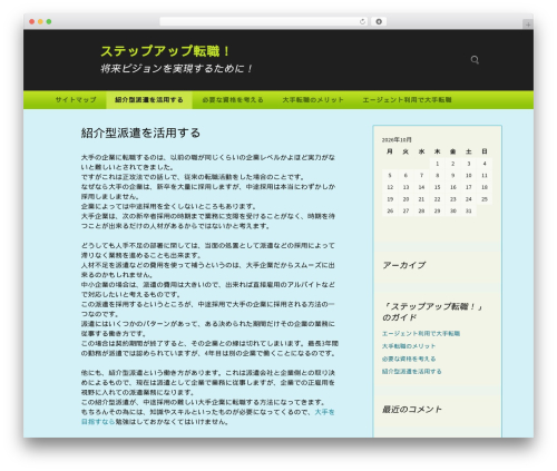 WordPress theme NuvioAxis Green - wash-clsing.com
