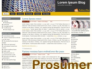 WordPress theme Prosumer WordPress theme Prosumer