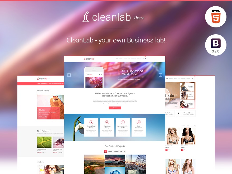 WordPress theme CleanLab