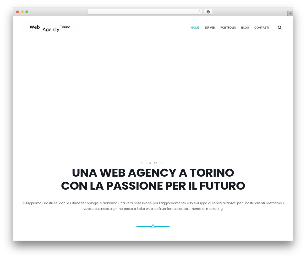 WP theme EasyWeb - webagencytorino.net