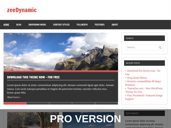 zeeDynamicPro WordPress theme zeeDynamicPro WordPress theme