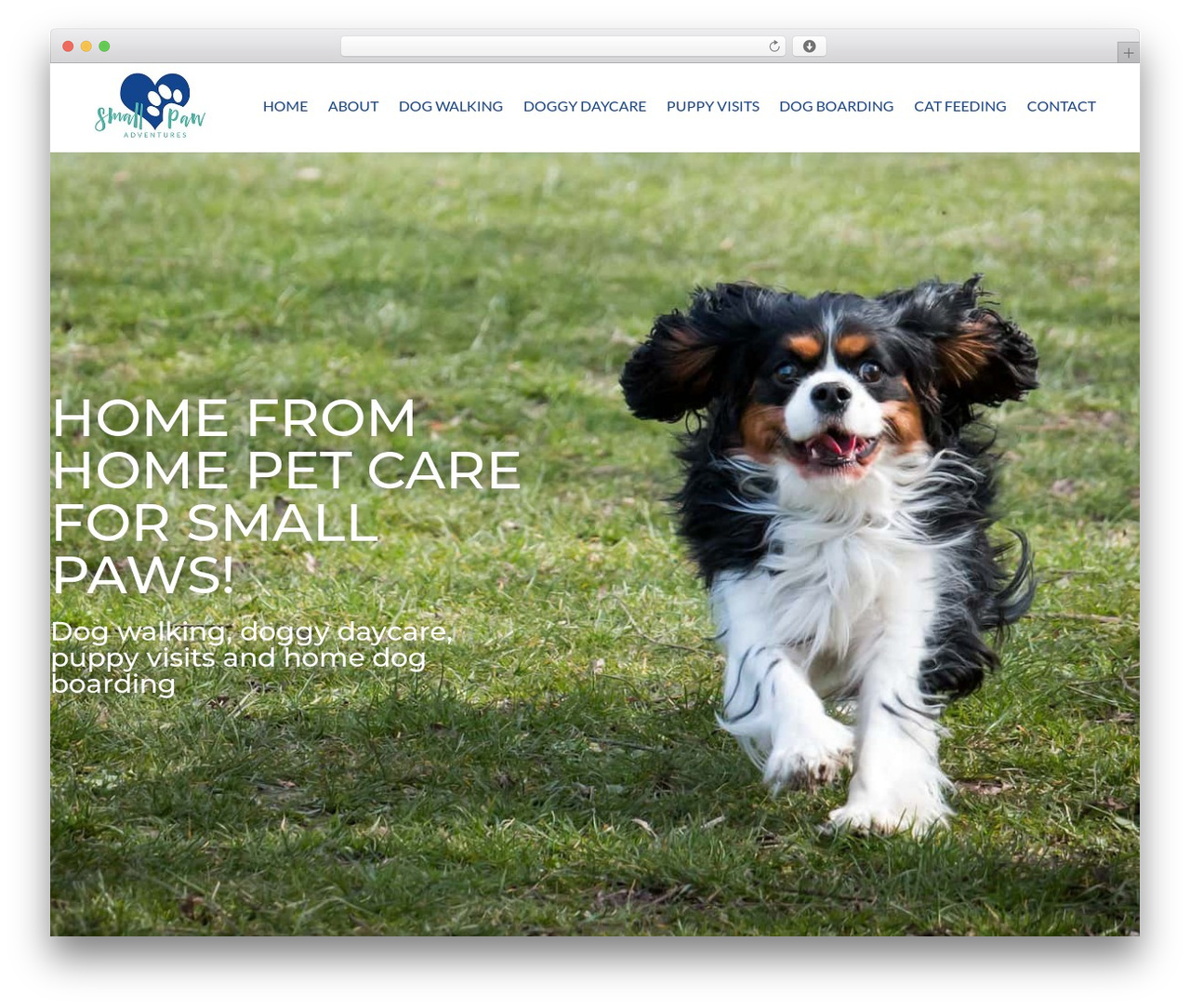 Divi theme WordPress - www.smallpawadventures.co.uk