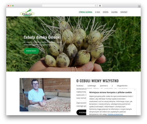 Divi translate main WordPress plugin - cebuladymka.com.pl
