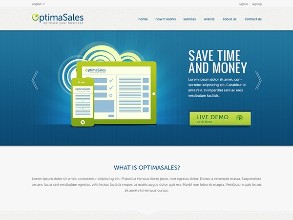 OptimaSales premium WordPress theme by Olechka