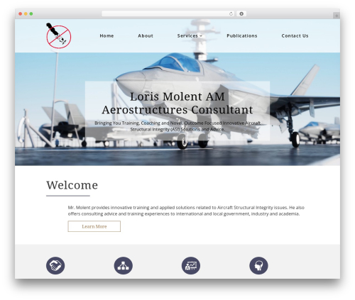 WordPress theme Theme 5 - molent.com
