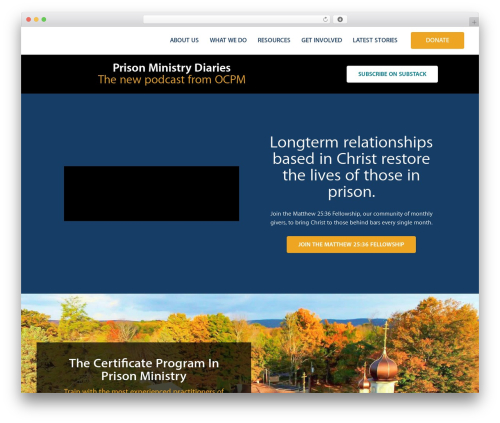 Hello Elementor WordPress theme - theocpm.org