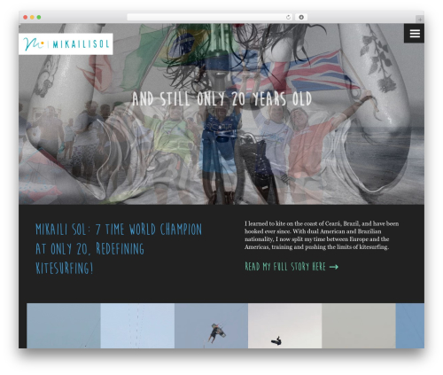 custom Theme WordPress website theme - mikailisol.com