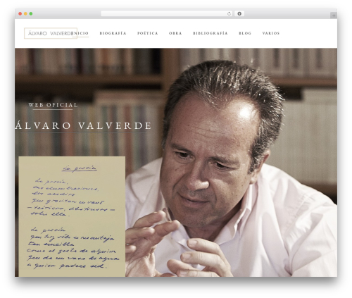 Musea shows WordPress plugin - alvarovalverde.es
