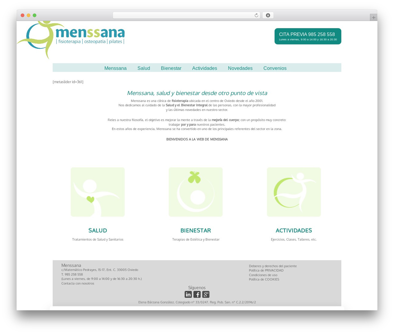 Theme WordPress Liquid Blank - menssana.es