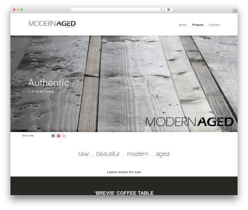Themetrust social WordPress plugin - modernageddesigns.com