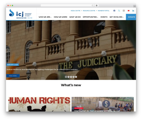Elfsight team showcase cc WordPress plugin - icj-kenya.org