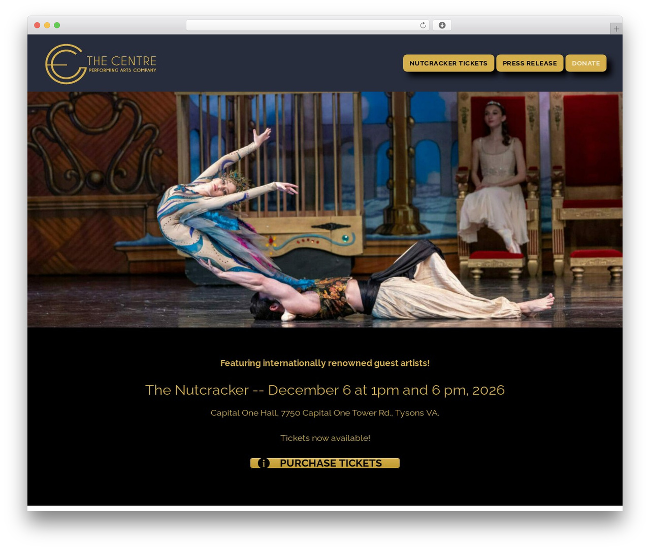 Customify best WordPress theme - centrecompany.org