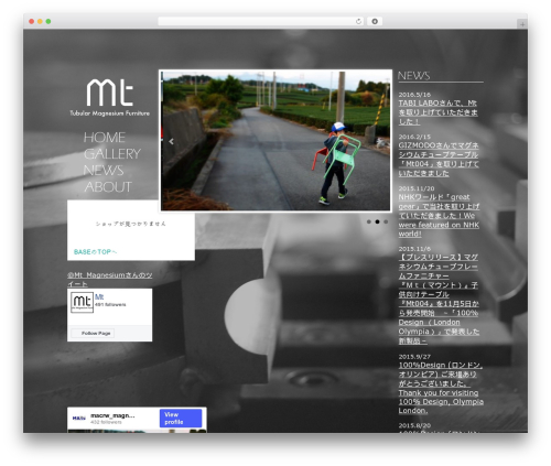 mount WP theme - mt-mg.com