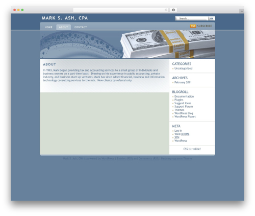 Partnerprogramm WP theme - mash-cpa.com