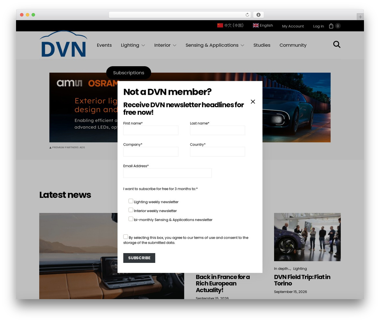 WordPress theme Authentic Child - drivingvisionnews.com