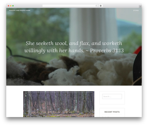 Affinity WordPress theme - sheepsandpeepsfarm.com