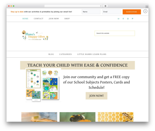 Best WordPress theme Market Theme - mamashappyhive.com