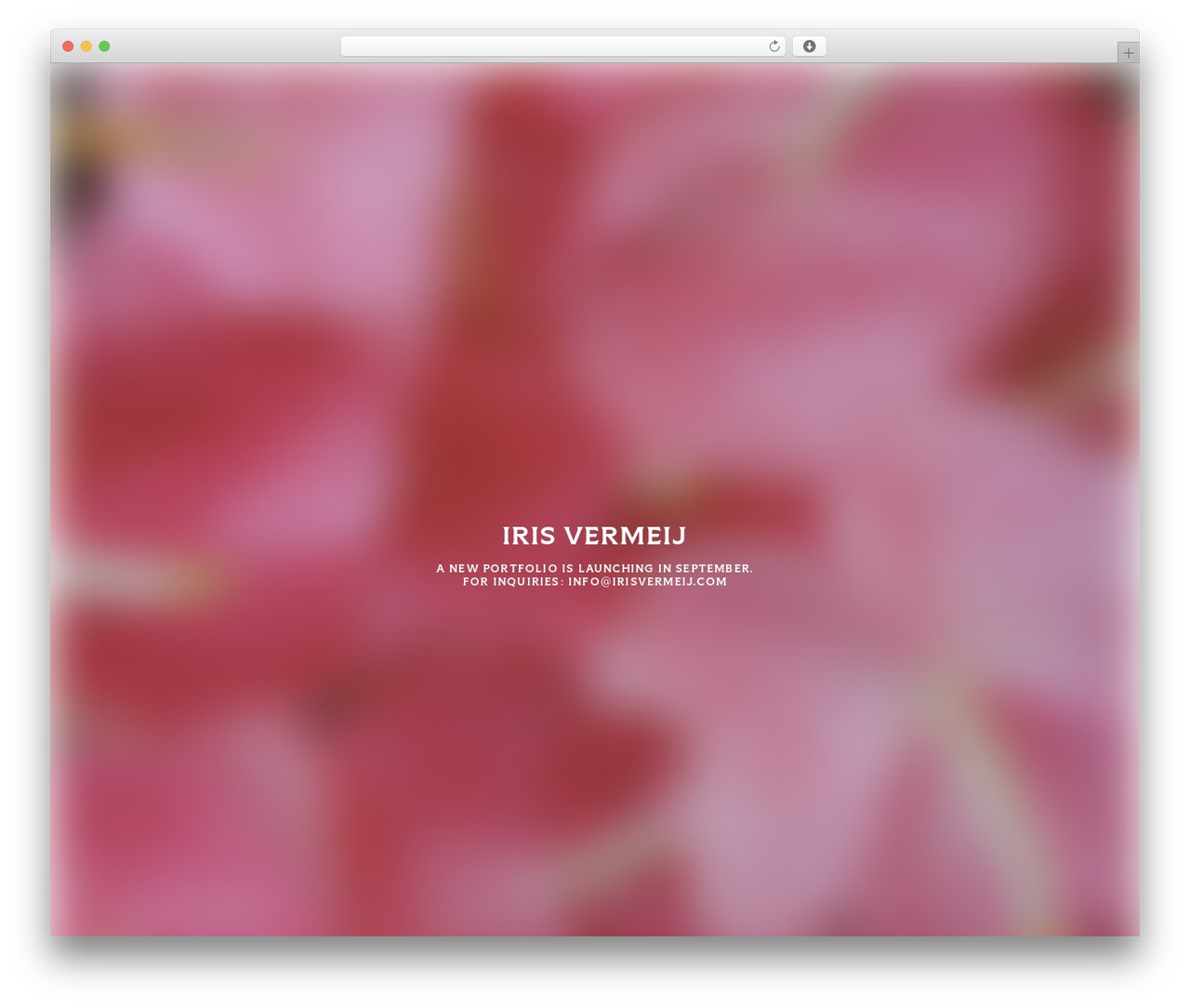 Lay Theme WordPress theme - irisvermeij.com Lay Theme WordPress theme - irisvermeij.com