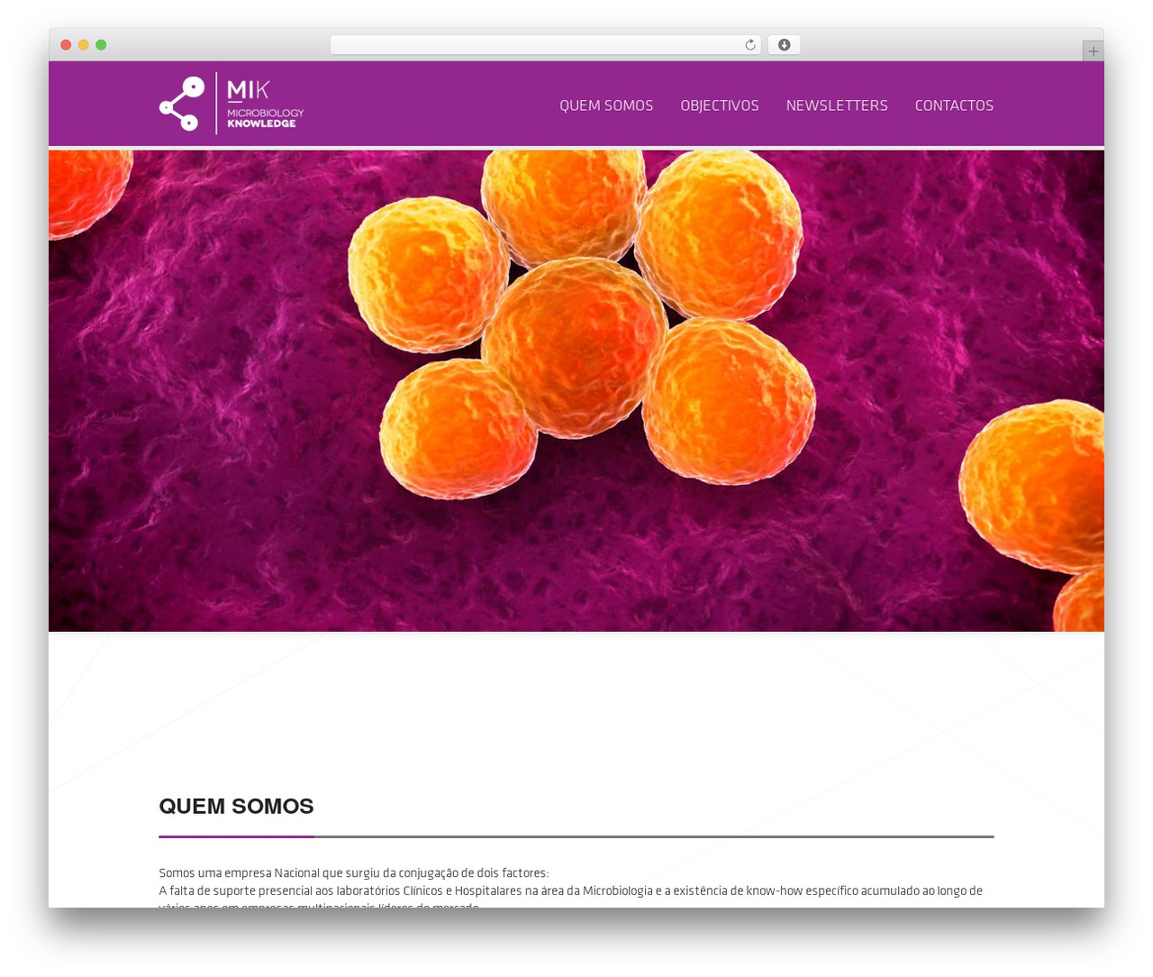 Ability WordPress theme - mik.pt Ability WordPress theme - mik.pt