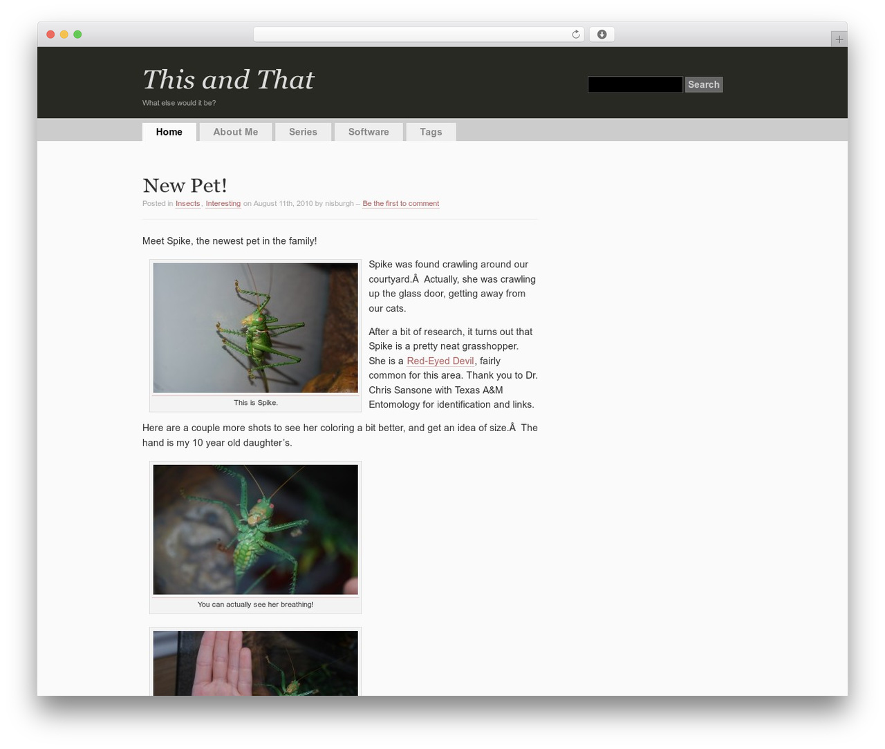 simpleX WordPress page theme - mrroot.net