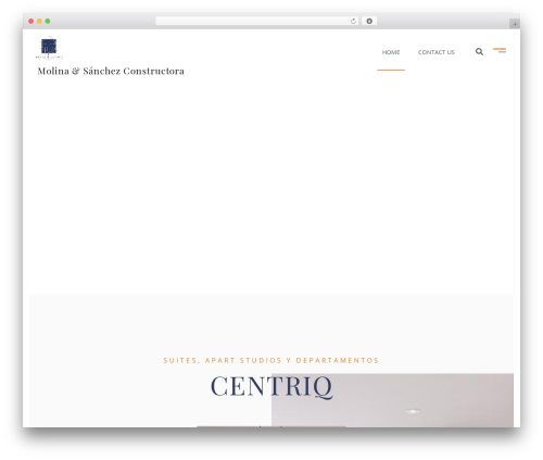 StudioArch WordPress theme - molinaysanchez.com
