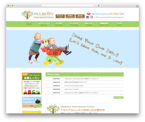 Theme WordPress マルベリーインターナショナルスクール - mulberryinternational.jp