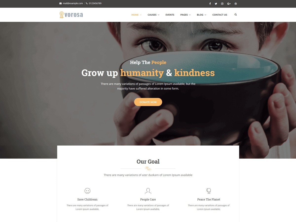 Vorosa theme WordPress
