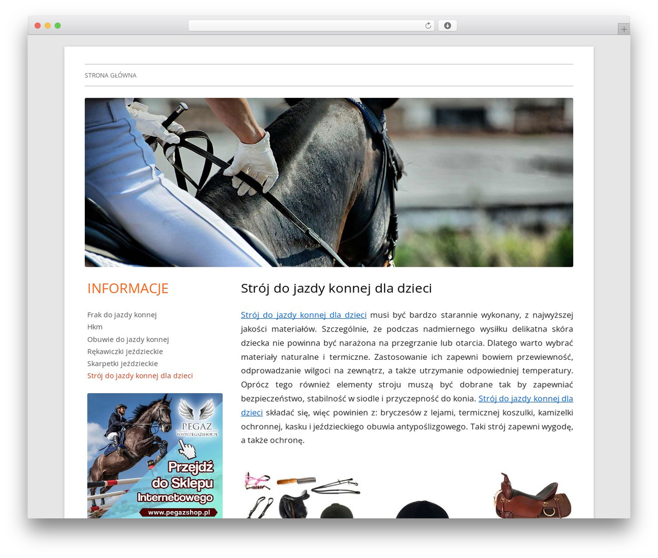 WordPress theme Tiny Framework - stroje-do-jazdy-konnej.pl