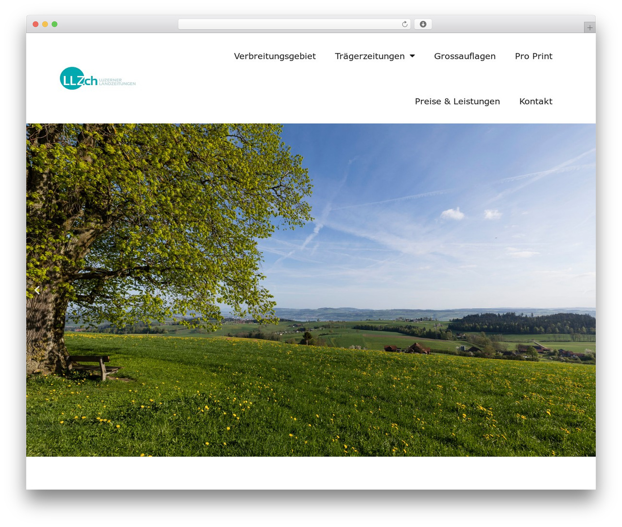 Hello Elementor WordPress theme - llz.ch Hello Elementor WordPress theme - llz.ch