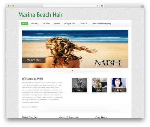 Limon - WordPress Edition WordPress theme - marinabeachhair.com