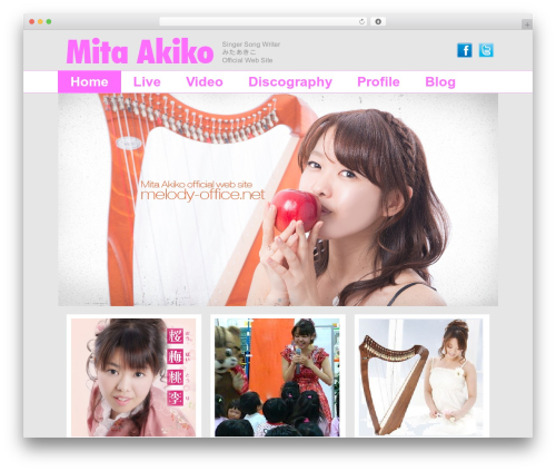 Haiku minimalist audio player WordPress plugin - melody-office.net