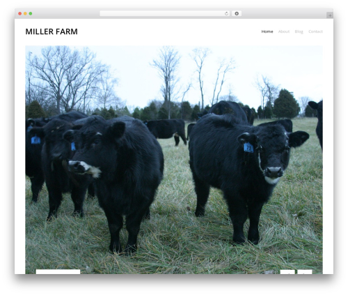 Themezilla Agency WordPress theme - millerfarmva.com