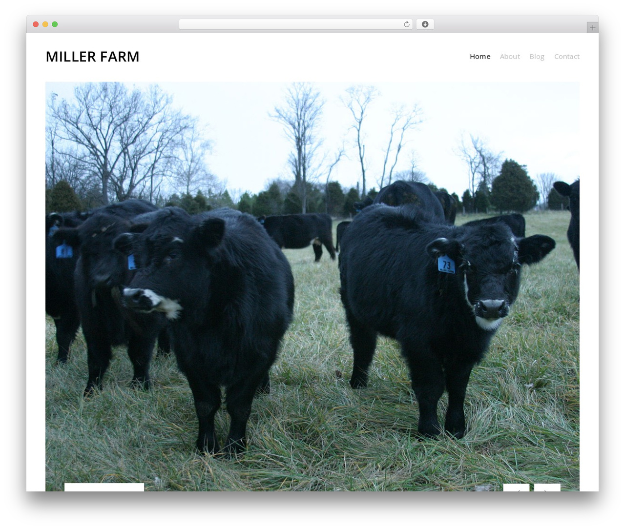 Themezilla Agency WordPress theme - millerfarmva.com Themezilla Agency WordPress theme - millerfarmva.com