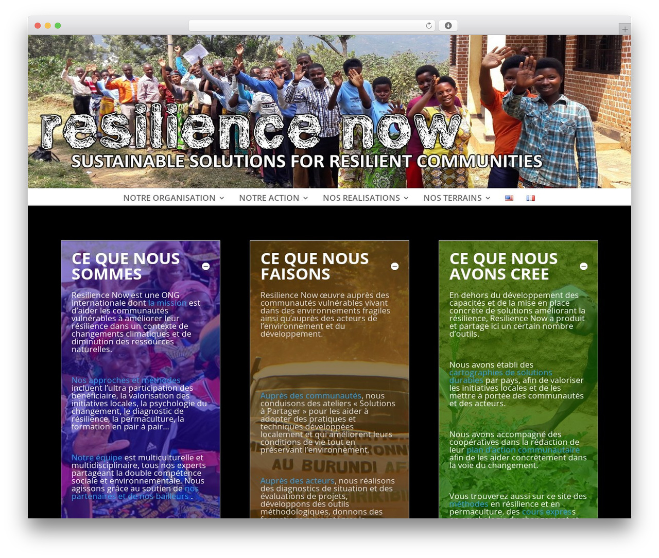 WordPress theme Divi - resilience.ngo