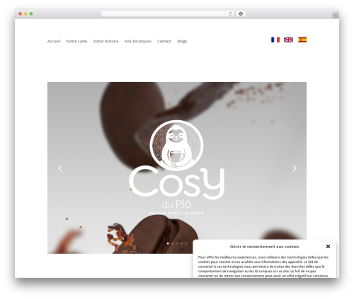 Smoother WordPress plugin - cosyduplo.com