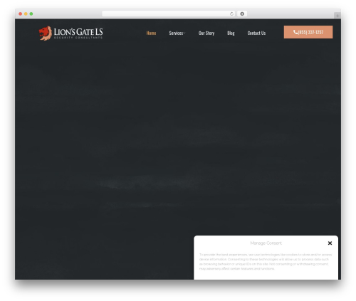 Romethemeform WordPress plugin - lionsgatels.com