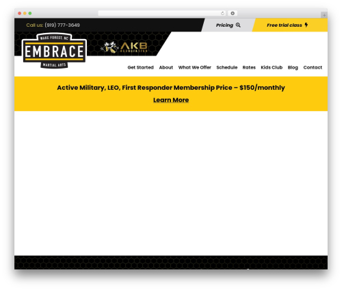 WordPress theme Zyth - embracemartialarts.com
