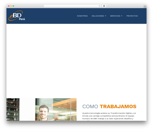 Mwt addons WordPress plugin - ebdperu.com