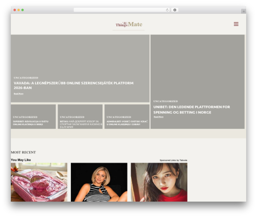 Elementor1 WordPress plugin - thingsmate.com