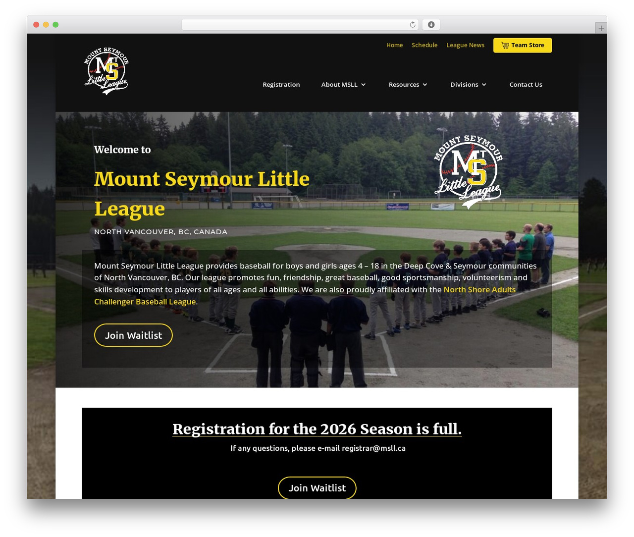 Divi WordPress theme - msll.ca