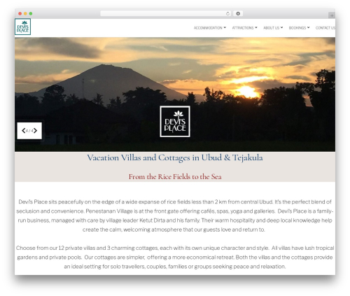 Leonardo WordPress theme - penestanan.com