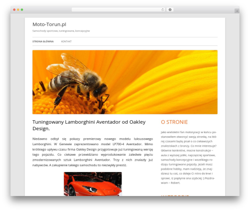 Tiny Framework WordPress theme free - moto-torun.pl Tiny Framework WordPress theme free - moto-torun.pl
