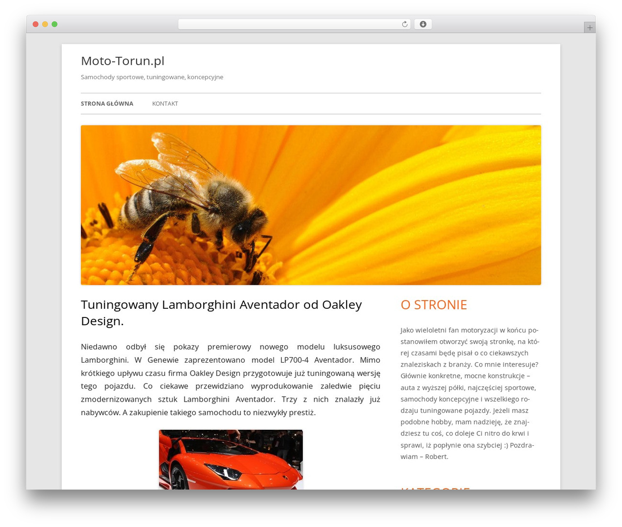 Tiny Framework WordPress theme free - moto-torun.pl