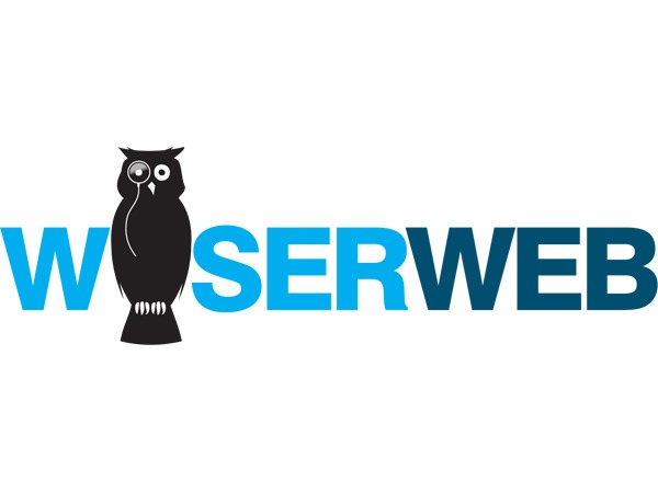 WordPress website theme Wiserweb WordPress website theme Wiserweb
