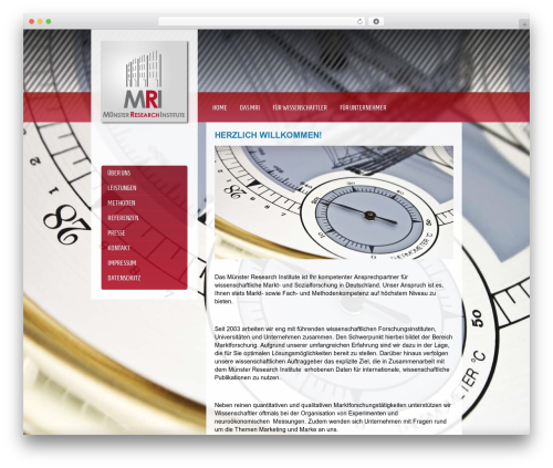 Xen WordPress theme - muenster-research.de