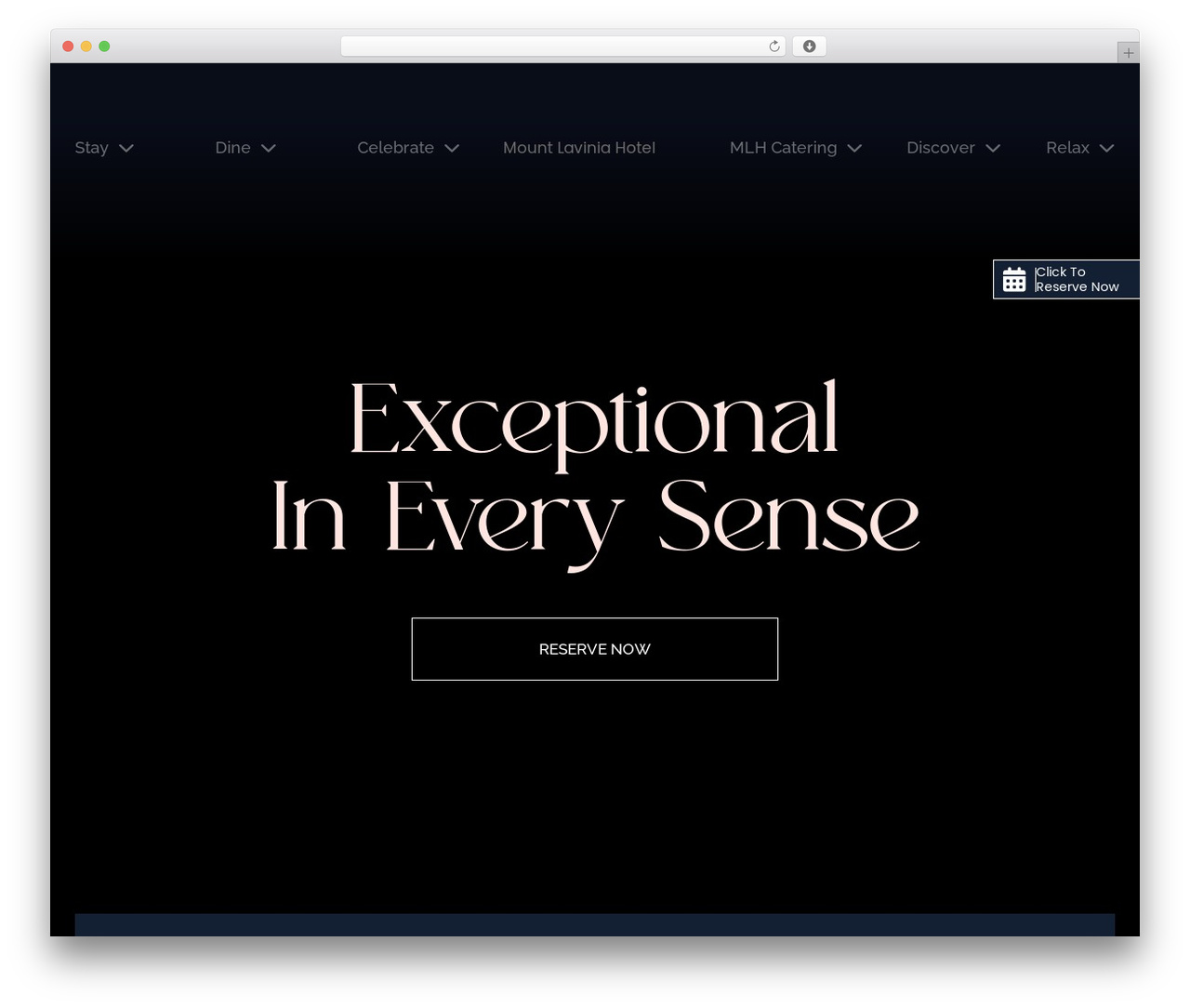 Custom Wordpress Theme WordPress hotel theme - mountlaviniahotel.com